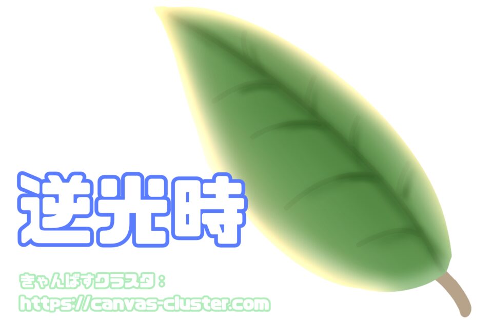 逆光での透過光